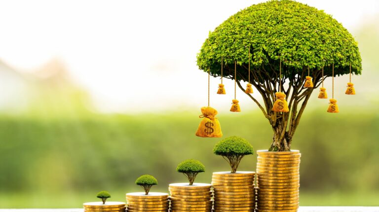 scale, CTO, digital transformation, Bank Backs Middle East Venture Capital Initiative to Drive Digital Transformation