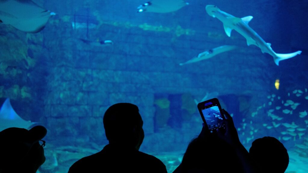 SeaWorld