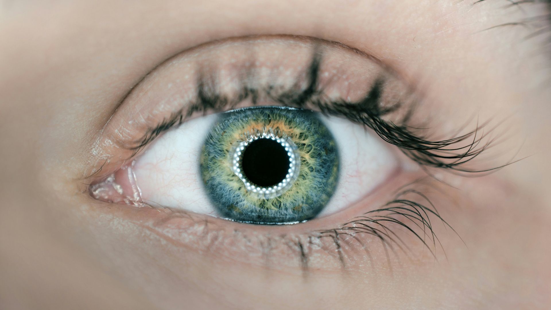 retina, eye, eye scan, Orbs